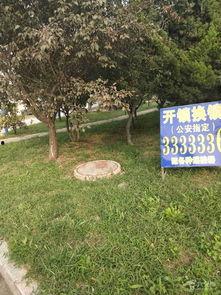 阳光雅苑水井爆料视频播放,揭秘社区生活背后真相